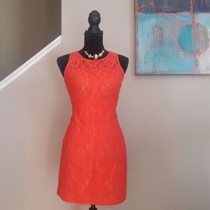 J. Crew/Sleeveless/ Lace/ Dress